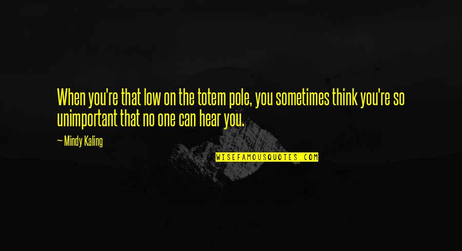 Nanutel Quotes By Mindy Kaling: When you're that low on the totem pole, Nanutel Quotes By Mindy Kaling: When you're that low on the totem pole,
