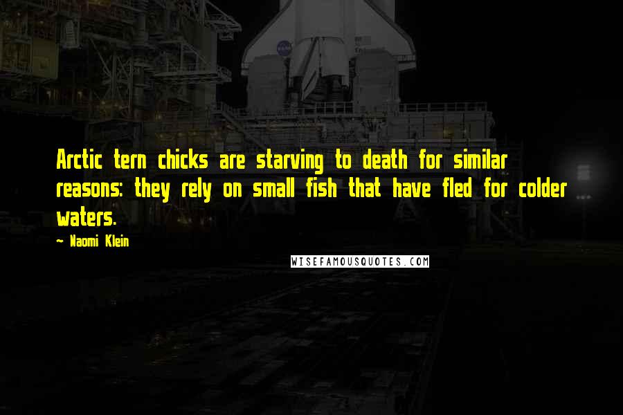 Naomi Klein quotes: Arctic tern chicks are starving to death for similar reasons: they rely on small fish that have fled for colder waters. Naomi Klein quotes: Arctic tern chicks are starving to death for similar reasons: they rely on small fish that have fled for colder waters.
