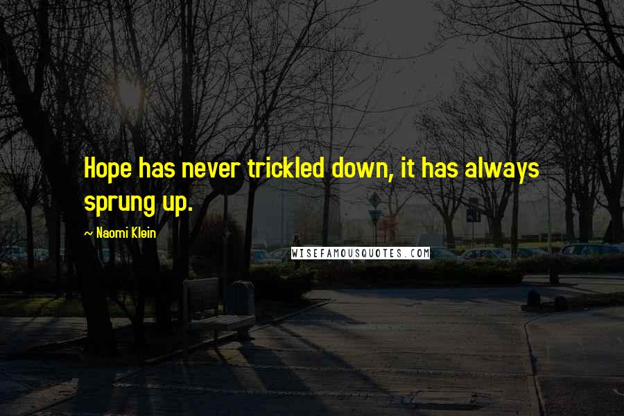 Naomi Klein quotes: Hope has never trickled down, it has always sprung up.