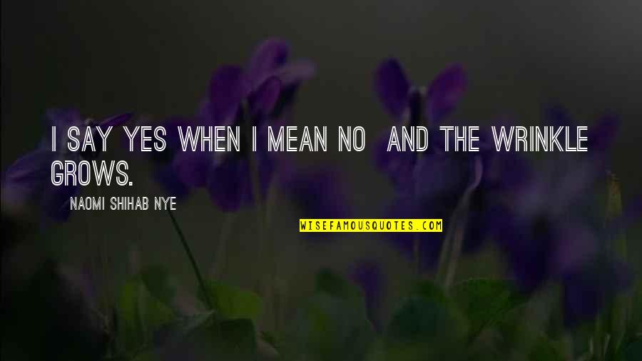 Naomi Shihab Nye Quotes By Naomi Shihab Nye: I say yes when I mean no and