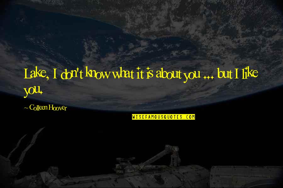 Napisan Cleaner Quotes By Colleen Hoover: Lake, I don't know what it is about Napisan Cleaner Quotes By Colleen Hoover: Lake, I don't know what it is about