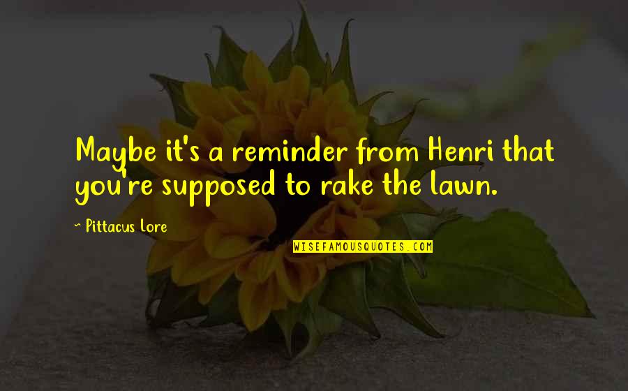 Napisana Bajka Quotes By Pittacus Lore: Maybe it's a reminder from Henri that you're