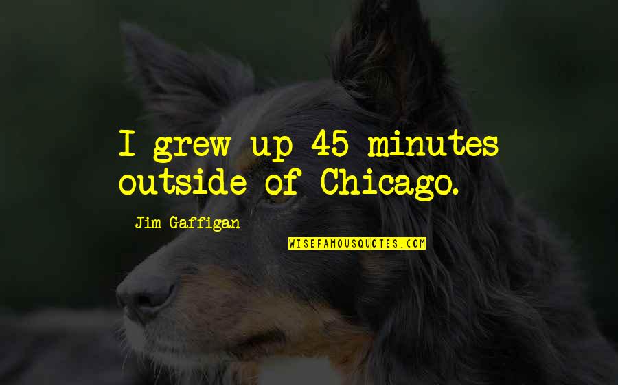 Napoleons Invasion Quotes By Jim Gaffigan: I grew up 45 minutes outside of Chicago.