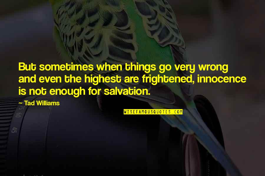 Napoline Quotes By Tad Williams: But sometimes when things go very wrong and