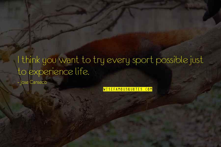 Napotitev Quotes By Jose Canseco: I think you want to try every sport
