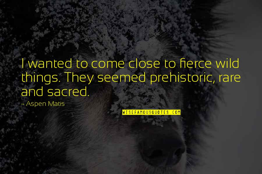 Naquib Al Attas Quotes By Aspen Matis: I wanted to come close to fierce wild