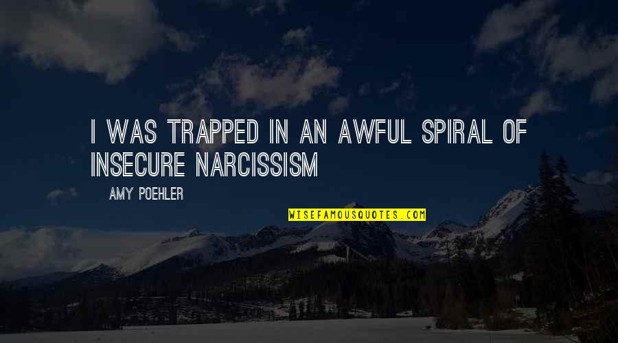 Narcissism Quotes By Amy Poehler: I was trapped in an awful spiral of