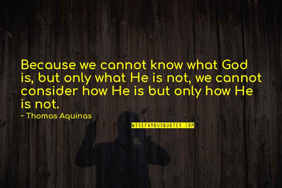 Narcissist Boy Quotes By Thomas Aquinas: Because we cannot know what God is, but Narcissist Boy Quotes By Thomas Aquinas: Because we cannot know what God is, but