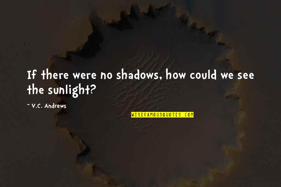 Narcissist Picture Quotes By V.C. Andrews: If there were no shadows, how could we