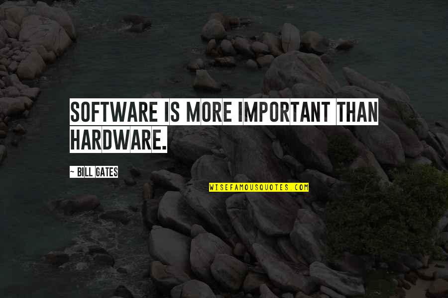 Nardone Brothers Quotes By Bill Gates: Software is more important than hardware.