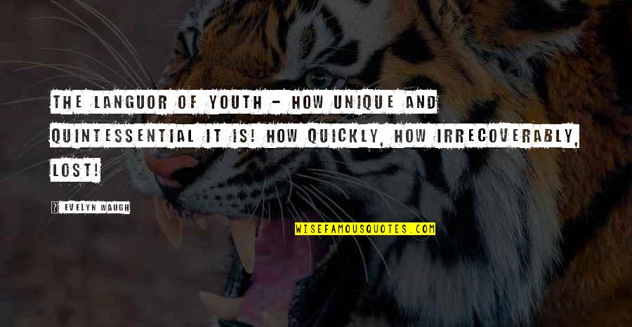 Nardulli Custom Quotes By Evelyn Waugh: The languor of Youth - how unique and Nardulli Custom Quotes By Evelyn Waugh: The languor of Youth - how unique and