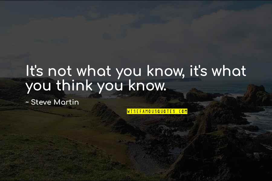 Narmers Palette Quotes By Steve Martin: It's not what you know, it's what you
