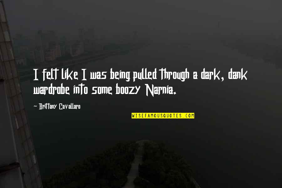 Narnia's Quotes By Brittany Cavallaro: I felt like I was being pulled through