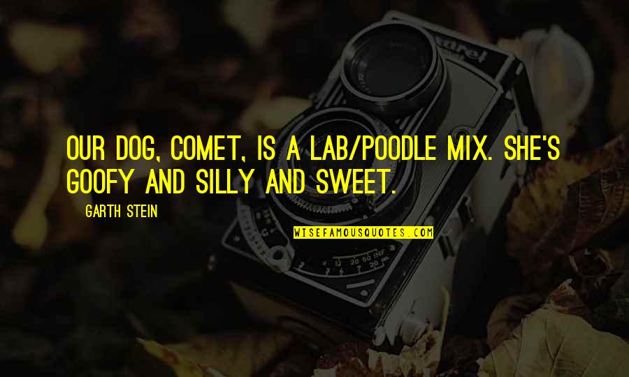 Narradores Dos Quotes By Garth Stein: Our dog, Comet, is a Lab/poodle mix. She's
