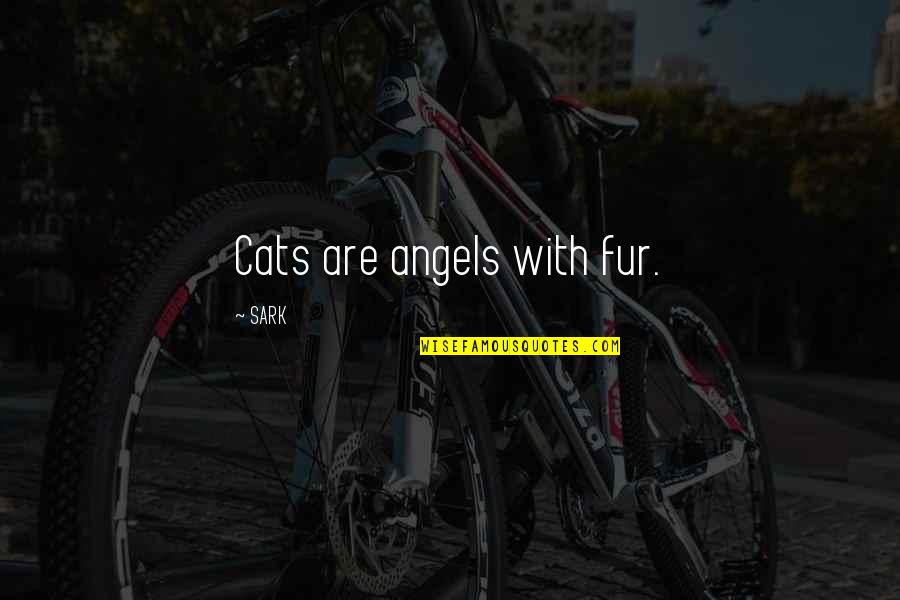 Narratore Esterno Quotes By SARK: Cats are angels with fur.
