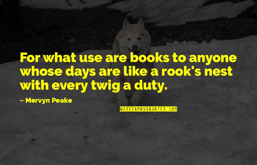 Narya Replica Quotes By Mervyn Peake: For what use are books to anyone whose