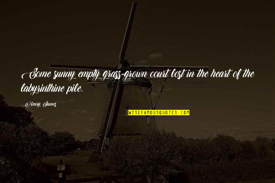 Narymane Quotes By Henry James: Some sunny empty grass-grown court lost in the