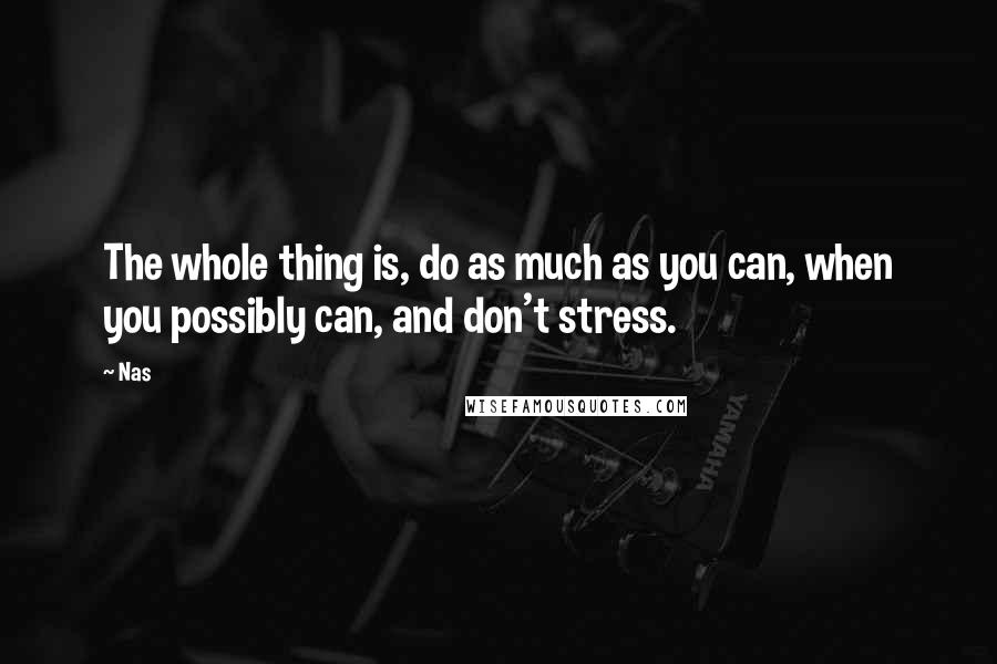 Nas quotes: The whole thing is, do as much as you can, when you possibly can, and don't stress.