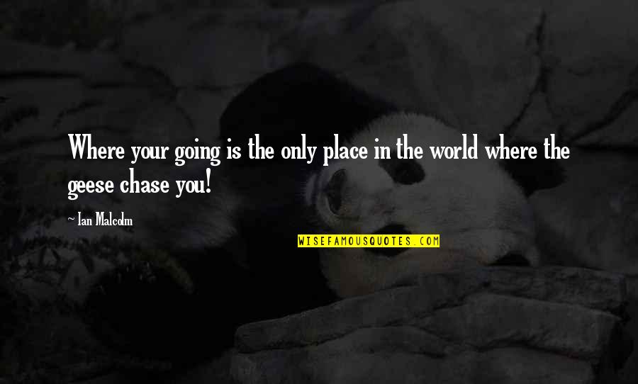 Nasality Quotes By Ian Malcolm: Where your going is the only place in