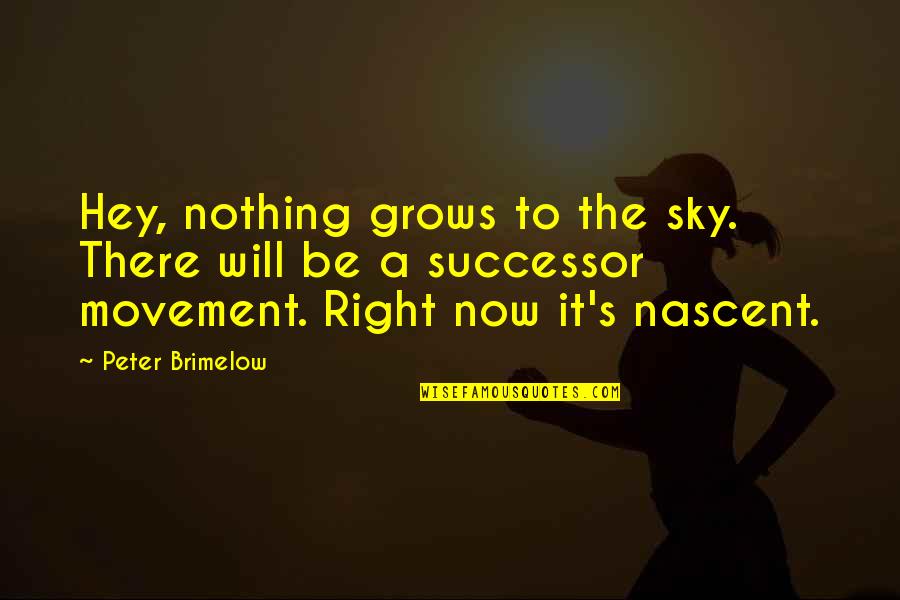 Nascent Quotes By Peter Brimelow: Hey, nothing grows to the sky. There will
