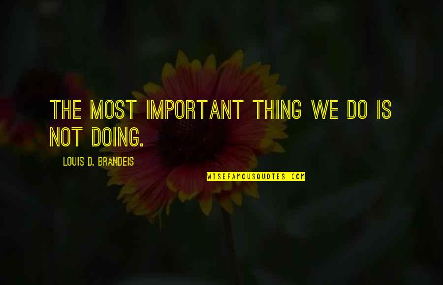 Naseem Funny Quotes By Louis D. Brandeis: The most important thing we do is not
