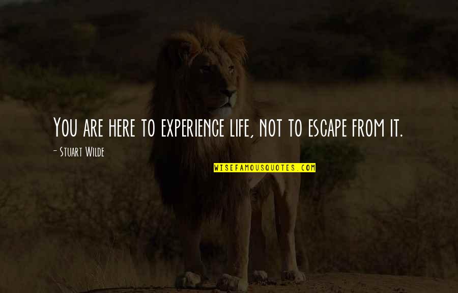 Nasharee Quotes By Stuart Wilde: You are here to experience life, not to Nasharee Quotes By Stuart Wilde: You are here to experience life, not to