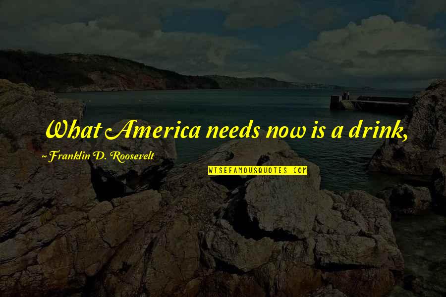 Nasilja Nad Quotes By Franklin D. Roosevelt: What America needs now is a drink,