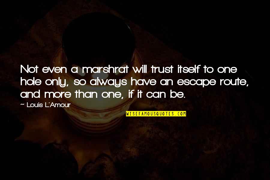 Naslavcea Quotes By Louis L'Amour: Not even a marshrat will trust itself to Naslavcea Quotes By Louis L'Amour: Not even a marshrat will trust itself to