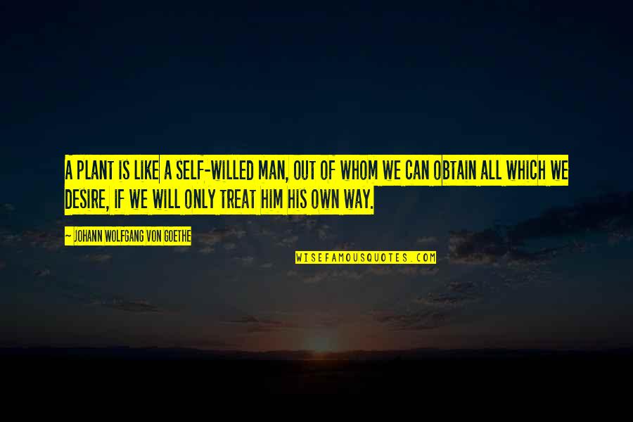 Nasruddin Rupani Quotes By Johann Wolfgang Von Goethe: A plant is like a self-willed man, out Nasruddin Rupani Quotes By Johann Wolfgang Von Goethe: A plant is like a self-willed man, out