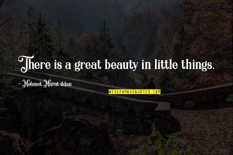 Nastassja Bolivar Quotes By Mehmet Murat Ildan: There is a great beauty in little things.