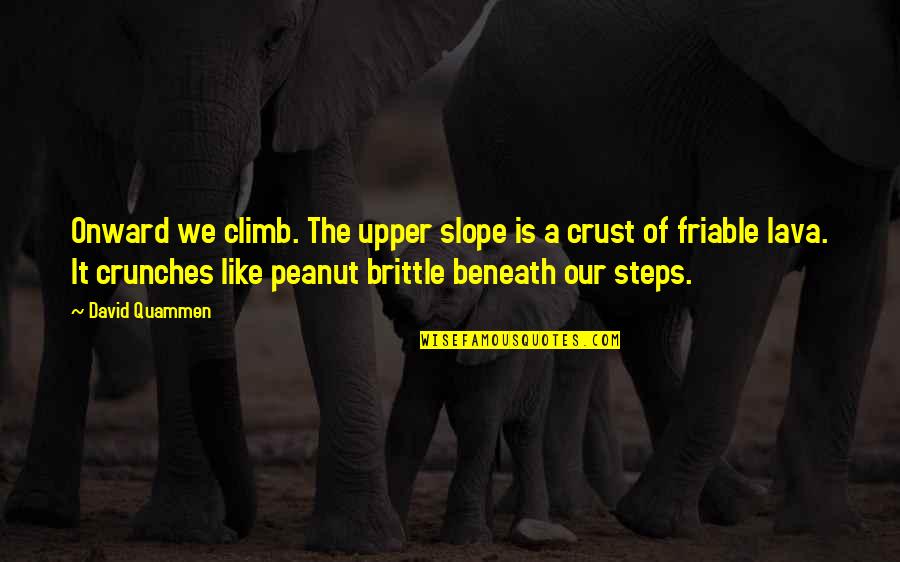 Nastier Quotes By David Quammen: Onward we climb. The upper slope is a Nastier Quotes By David Quammen: Onward we climb. The upper slope is a