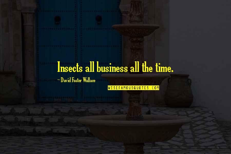 Nastos Construction Quotes By David Foster Wallace: Insects all business all the time. Nastos Construction Quotes By David Foster Wallace: Insects all business all the time.