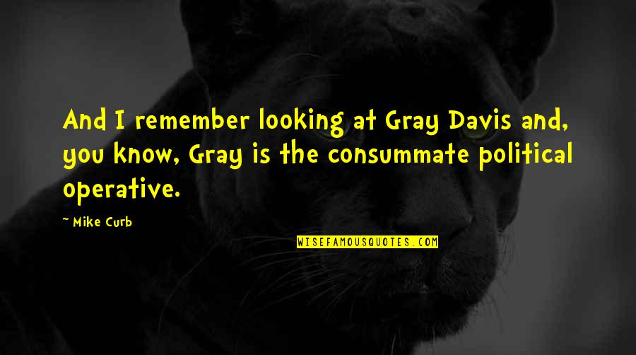 Nasty Gal Quotes By Mike Curb: And I remember looking at Gray Davis and,