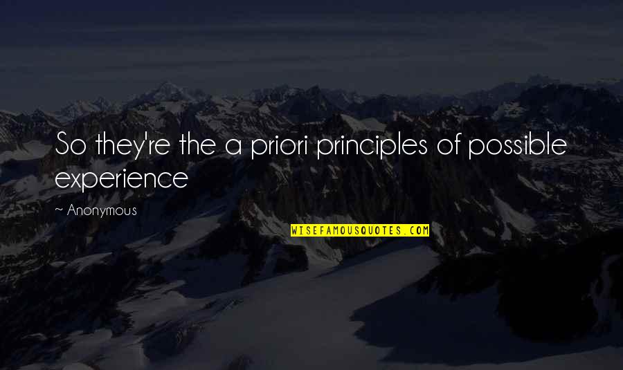 Nasul Rosu Quotes By Anonymous: So they're the a priori principles of possible