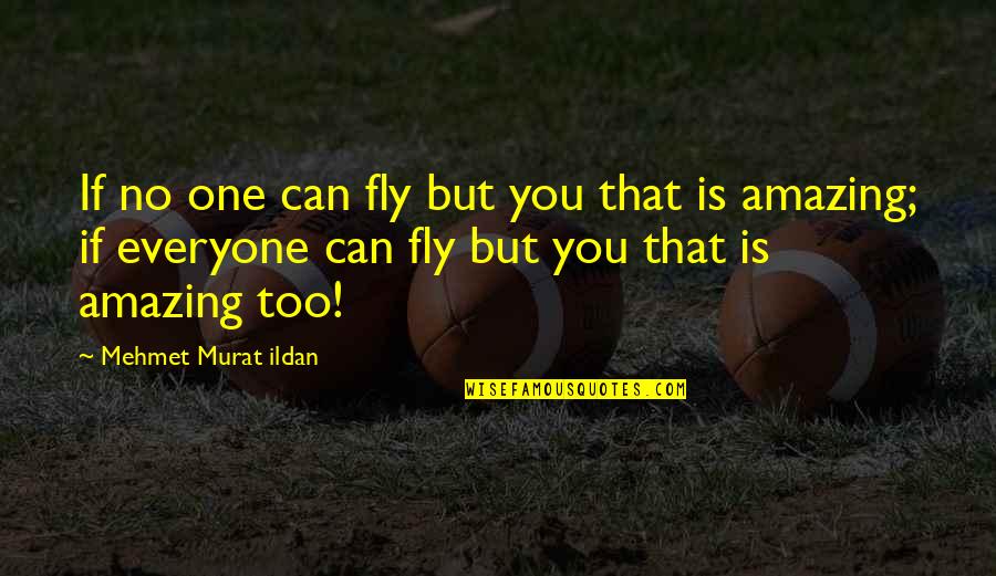 Nasul Rosu Quotes By Mehmet Murat Ildan: If no one can fly but you that