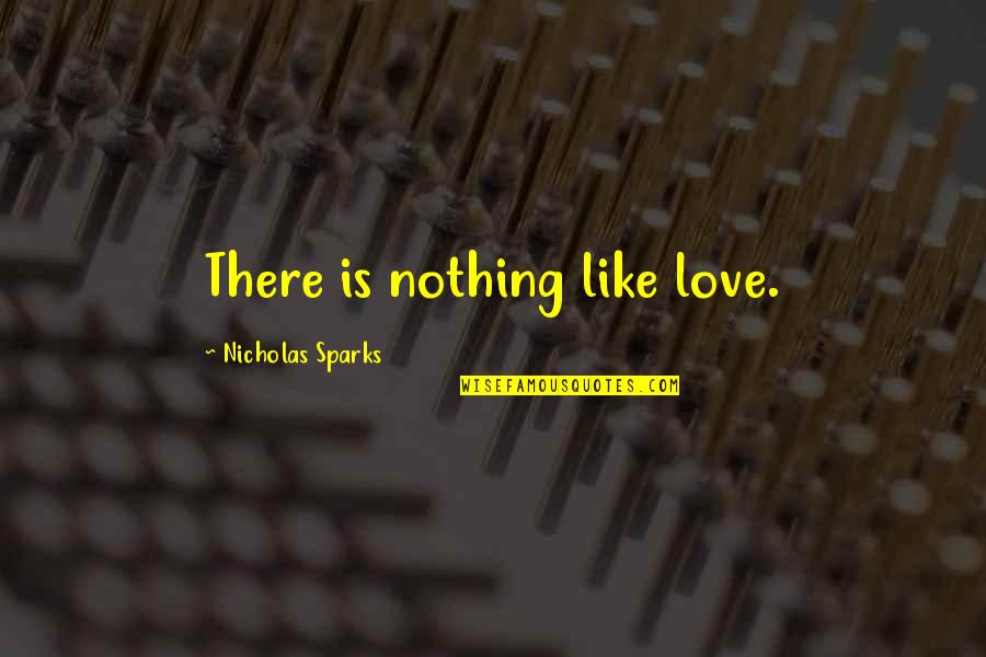 Nasution Lubis Quotes By Nicholas Sparks: There is nothing like love.