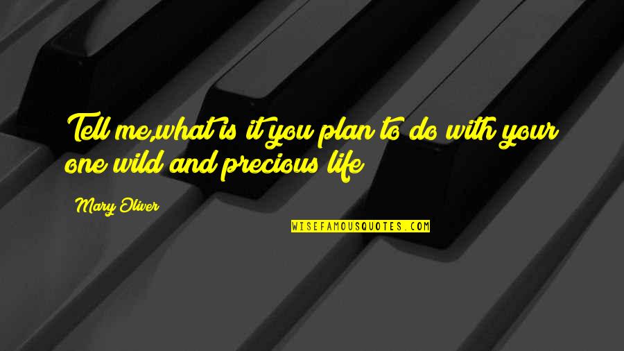 Nataleigh Swonger Quotes By Mary Oliver: Tell me,what is it you plan to do