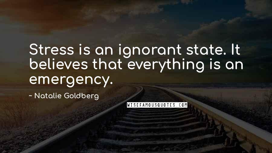 Natalie Goldberg quotes: Stress is an ignorant state. It believes that everything is an emergency.