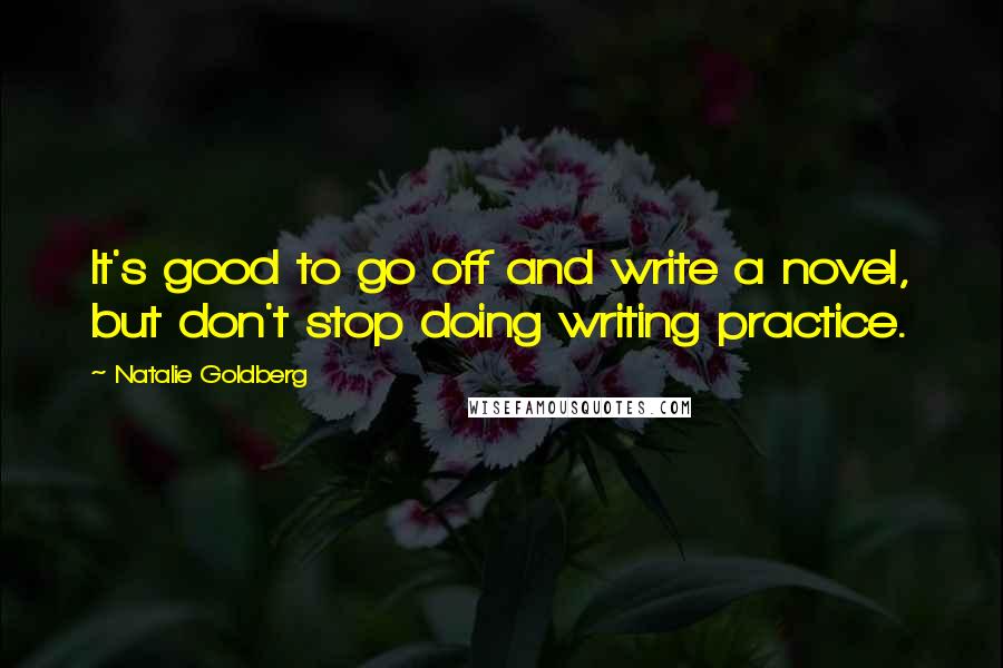 Natalie Goldberg quotes: It's good to go off and write a novel, but don't stop doing writing practice.