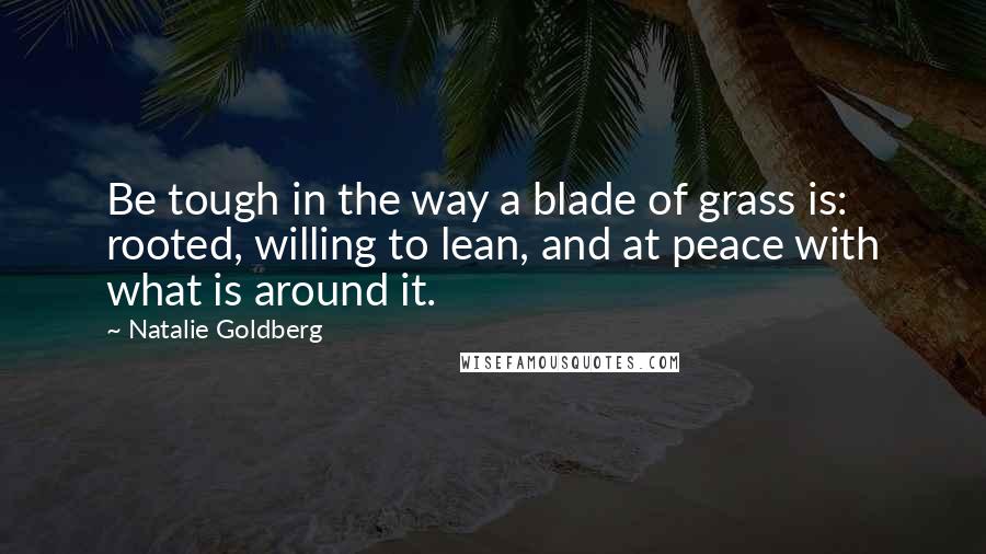 Natalie Goldberg quotes: Be tough in the way a blade of grass is: rooted, willing to lean, and at peace with what is around it.