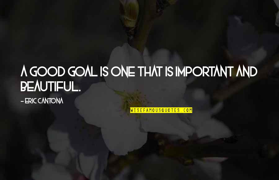 Natasa Miljkovic Quotes By Eric Cantona: A good goal is one that is important