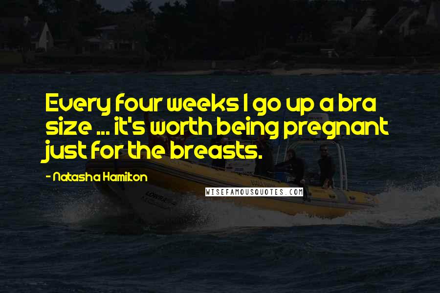 Natasha Hamilton quotes: Every four weeks I go up a bra size ... it's worth being pregnant just for the breasts.