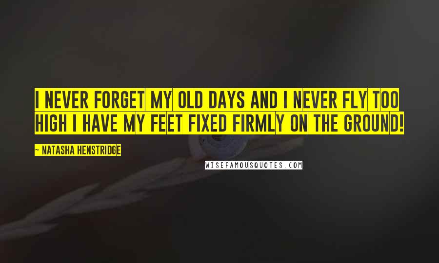 Natasha Henstridge quotes: I never forget my old days and I never fly too high I have my feet fixed firmly on the ground!