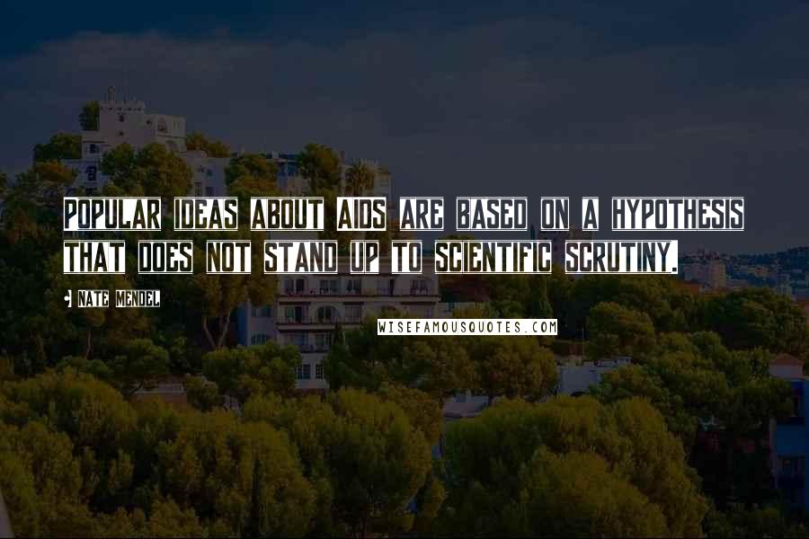 Nate Mendel quotes: Popular ideas about AIDS are based on a hypothesis that does not stand up to scientific scrutiny.