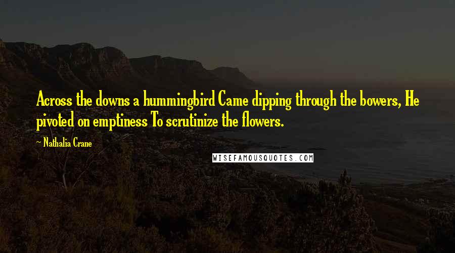 Nathalia Crane quotes: Across the downs a hummingbird Came dipping through the bowers, He pivoted on emptiness To scrutinize the flowers.