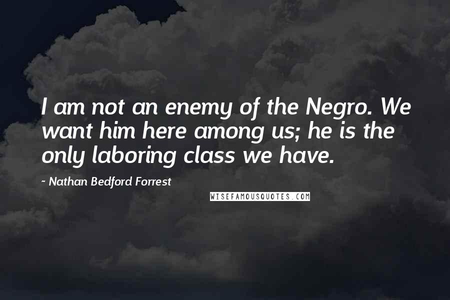 Nathan Bedford Forrest quotes: I am not an enemy of the Negro. We want him here among us; he is the only laboring class we have.