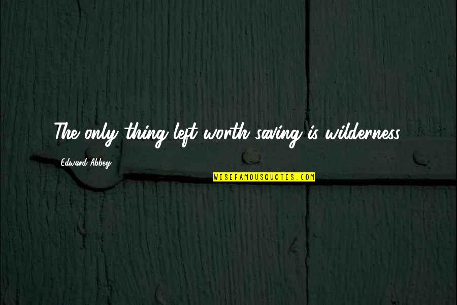 Nathan Jacobson Quotes By Edward Abbey: The only thing left worth saving is wilderness.