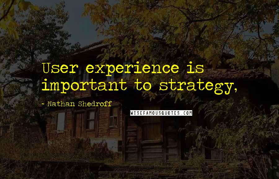 Nathan Shedroff quotes: User experience is important to strategy,