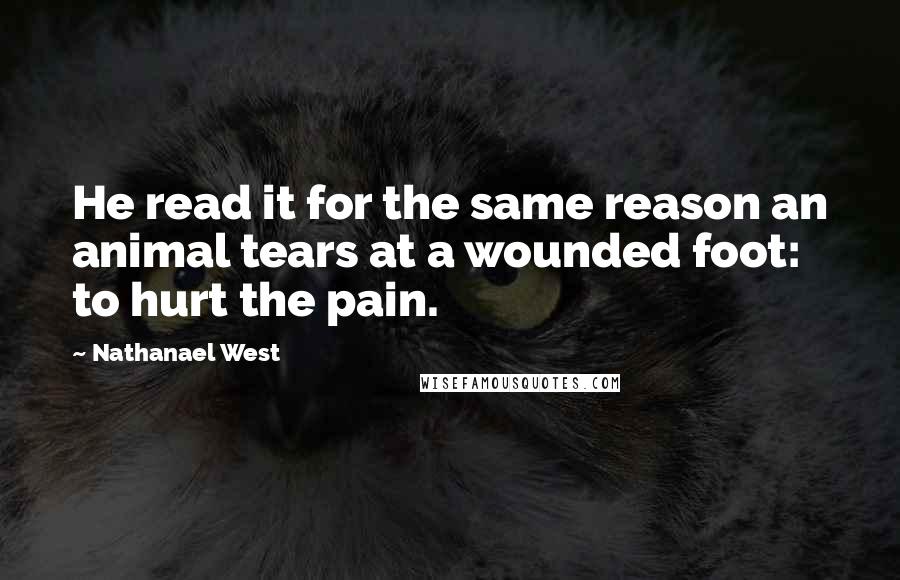 Nathanael West quotes: He read it for the same reason an animal tears at a wounded foot: to hurt the pain.