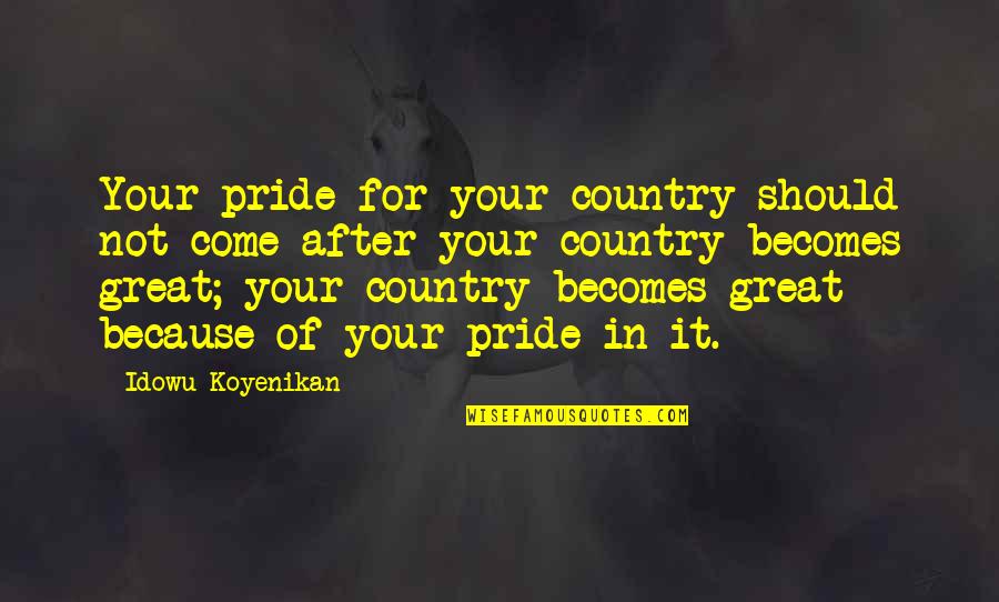 National Identity Quotes By Idowu Koyenikan: Your pride for your country should not come